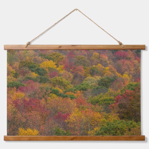 Hardwood Forest in Randolph County West Virginia Hanging Tapestry