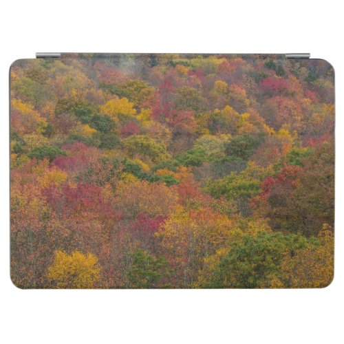Hardwood Forest in Randolph County West Virginia iPad Air Cover