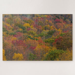 Hardwood Forest in Randolph County, West Virginia Jigsaw Puzzle