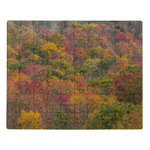 Hardwood Forest in Randolph County, West Virginia Jigsaw Puzzle