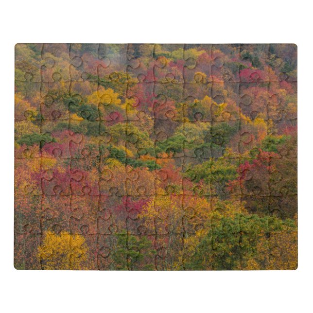 Hardwood Forest in Randolph County, West Virginia Jigsaw Puzzle (Puzzle Horizontal)