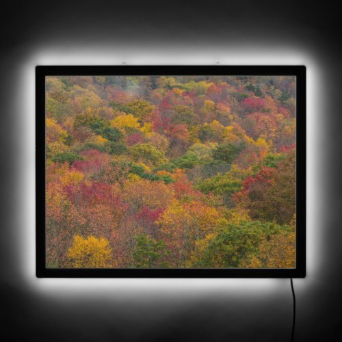 Hardwood Forest in Randolph County West Virginia LED Sign