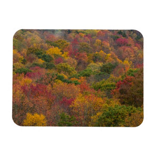 Hardwood Forest in Randolph County West Virginia Magnet