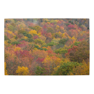 Hardwood Forest in Randolph County, West Virginia Metal Print
