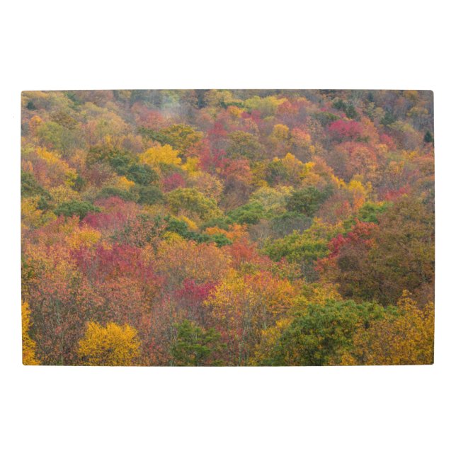 Hardwood Forest in Randolph County, West Virginia Metal Print (Front)