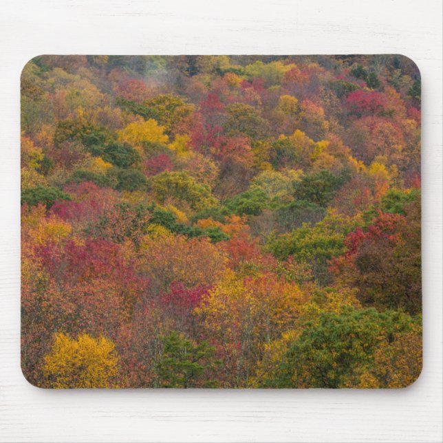 Hardwood Forest in Randolph County, West Virginia Mouse Pad (Front)