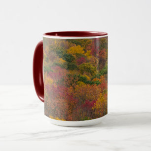Hardwood Forest in Randolph County, West Virginia Mug