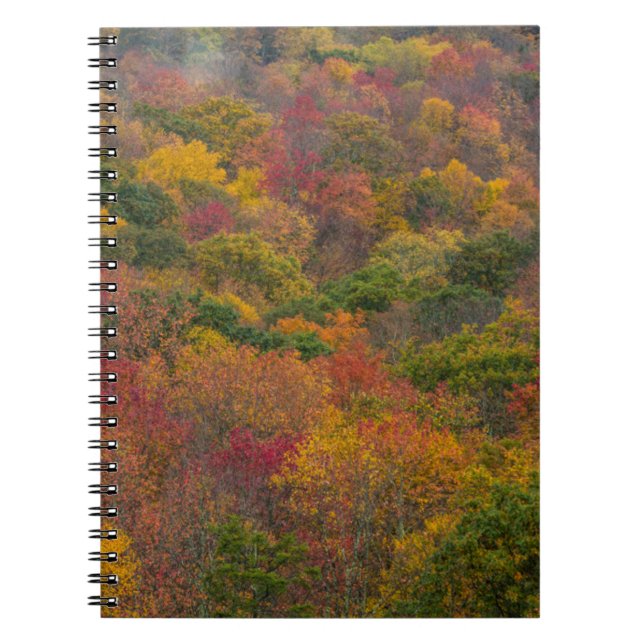 Hardwood Forest in Randolph County, West Virginia Notebook (Front)
