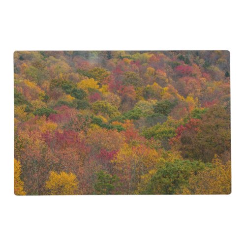 Hardwood Forest in Randolph County West Virginia Placemat