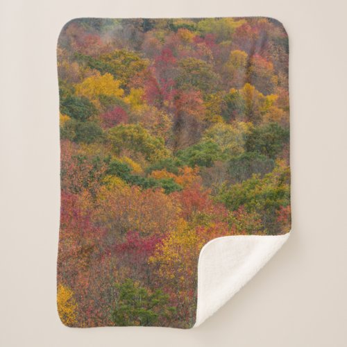 Hardwood Forest in Randolph County West Virginia Sherpa Blanket