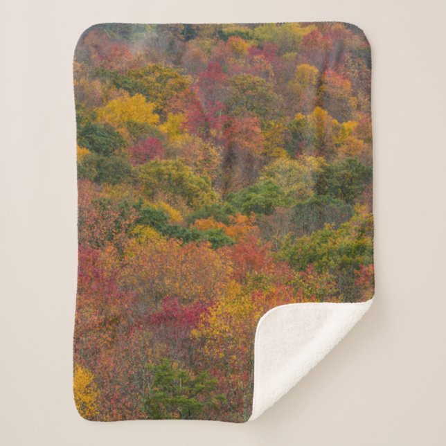 Hardwood Forest in Randolph County, West Virginia Sherpa Blanket (Front)