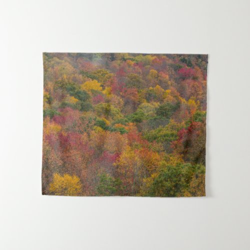 Hardwood Forest in Randolph County West Virginia Tapestry