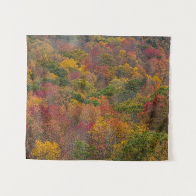 Hardwood Forest in Randolph County, West Virginia Tapestry (Front (Horizontal))