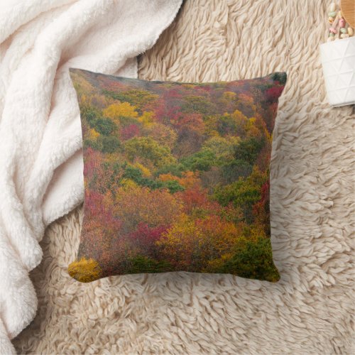 Hardwood Forest in Randolph County West Virginia Throw Pillow