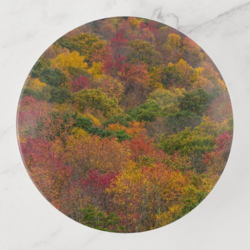 Hardwood Forest in Randolph County West Virginia Trinket Tray