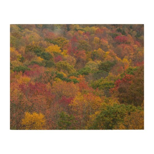 Hardwood Forest in Randolph County West Virginia Wood Wall Art