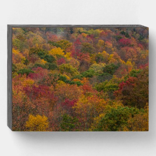 Hardwood Forest in Randolph County West Virginia Wooden Box Sign