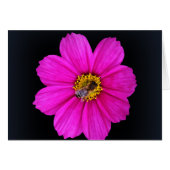 hardworking bee (Front Horizontal)