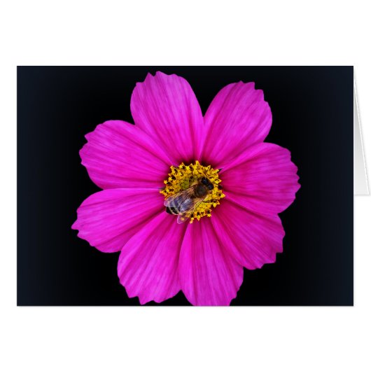 hardworking bee (Front Horizontal)