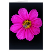 hardworking bee (Front)