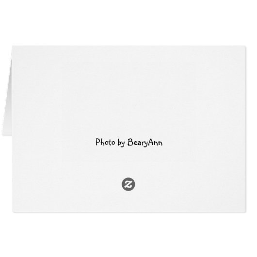 Hardworking Teddy Bears card (Back Horizontal)