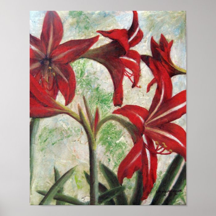 Hardy Amaryllis Print