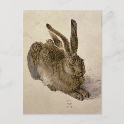 Hare 1502 postcard