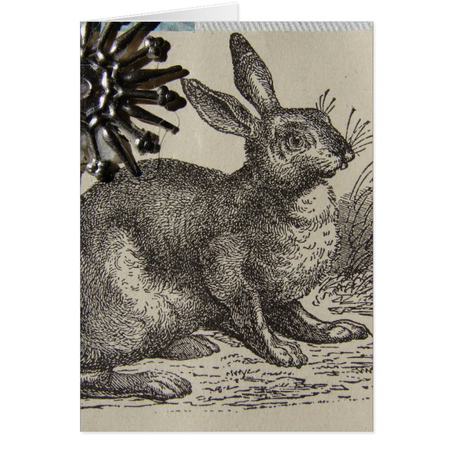 Hare ATC (Front)
