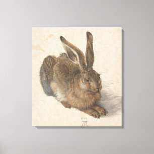 Hare (by Albrecht Dürer) Canvas Print