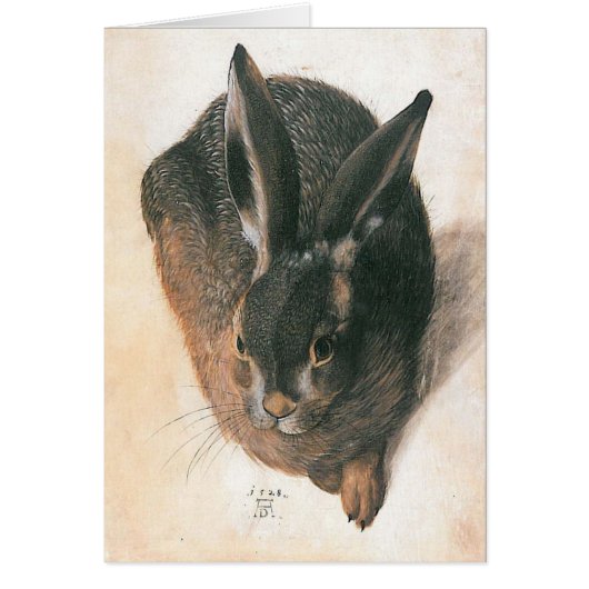 Hare by Albrecht Durer Cards (Front)