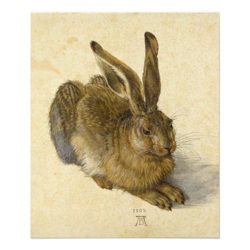 Hare by Albrecht Durer Photo Print