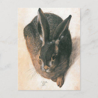 Hare by Albrecht Durer Postcard