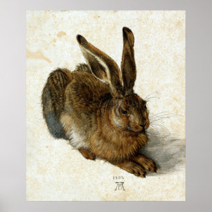 Hare by Albrecht Dürer Poster