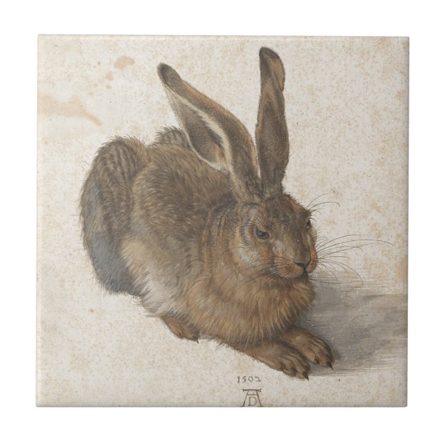 Hare by Albrecht Durer Tile (Front)