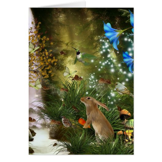 hare cards (Front)