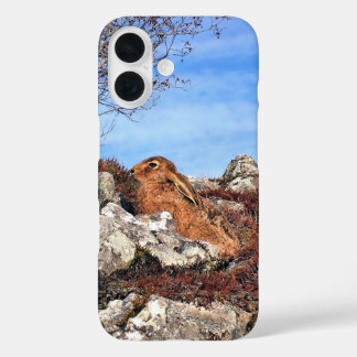 HARE iPhone 16 CASE