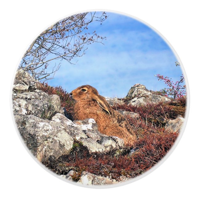 HARE CERAMIC KNOB (Front)