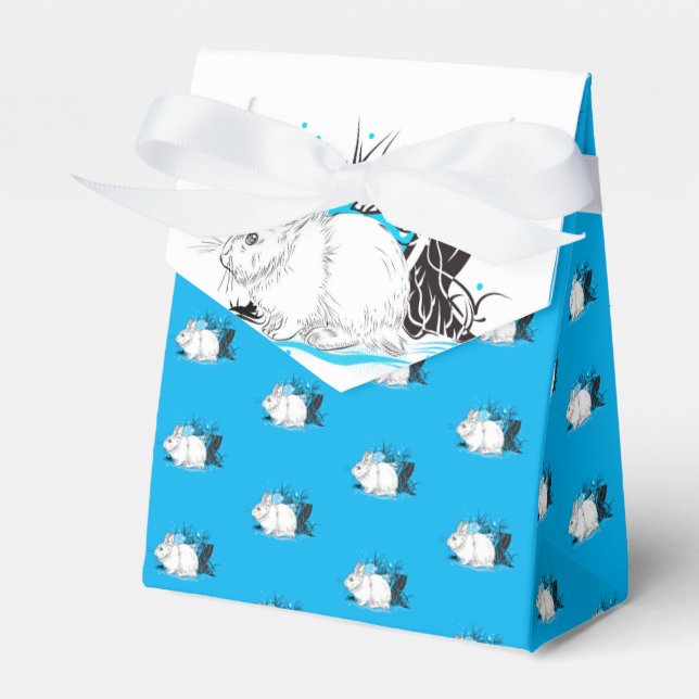 Hare Favor Boxes (Front Side)