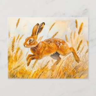 Hare in a cornfield watercolor painting postcard