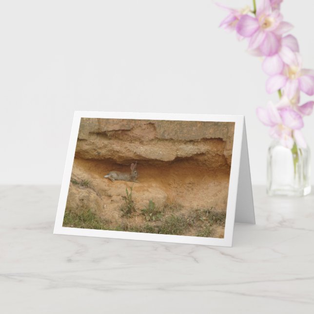 Hare in Canyon Cave Card (Orchid)