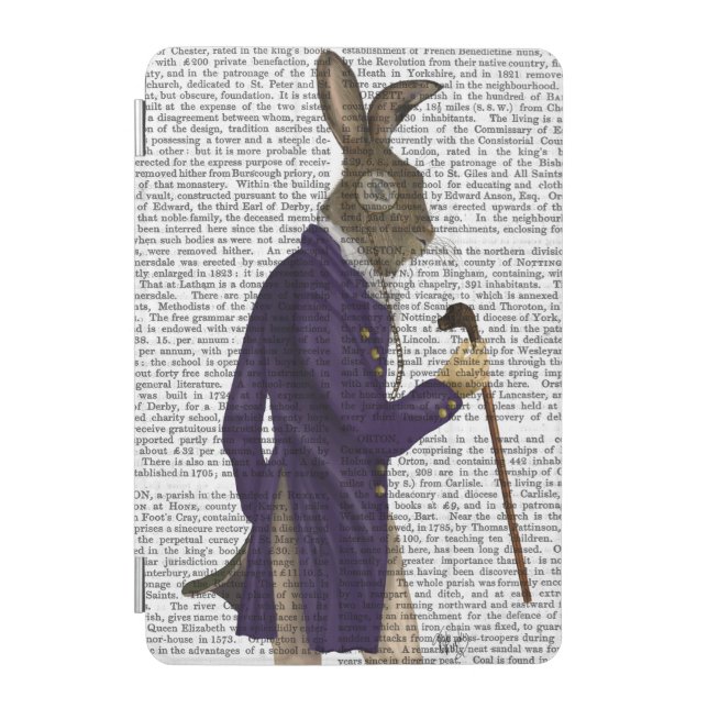 Hare In Purple Coat iPad Mini Cover (Front)