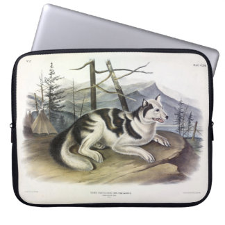 Hare-Indian Dog (Mackenzie River Dog) by Audubon Laptop Sleeve