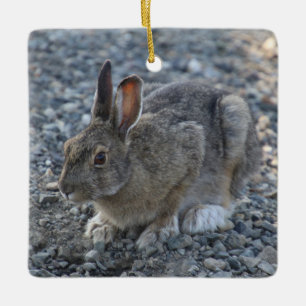 Hare Ornament