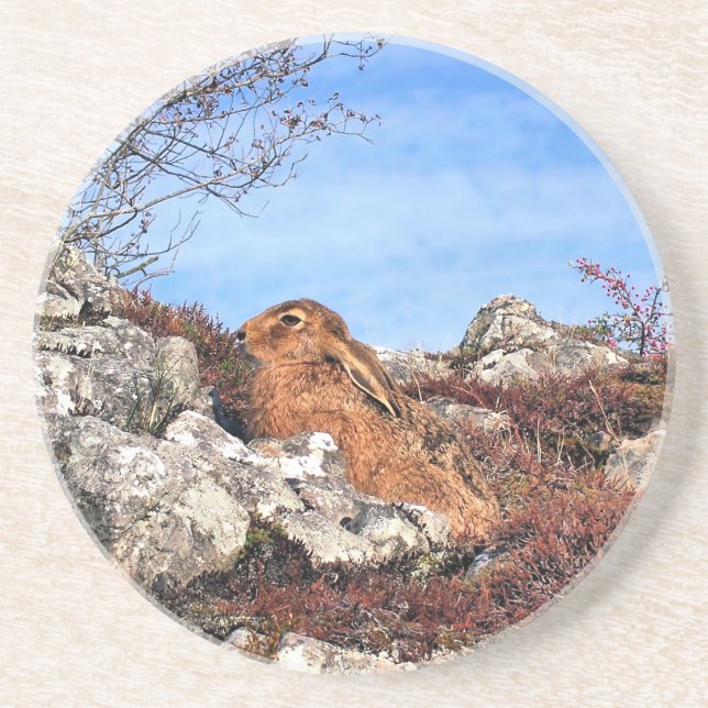 HARE SANDSTONE COASTER (Front)