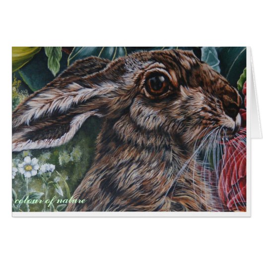 hare today gone tomorrow cards (Front Horizontal)