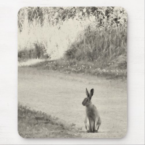 Hare today mouse pad