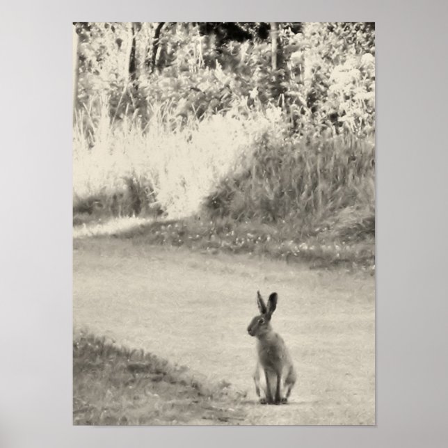 Hare today poster (Front)