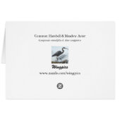 Harebell & Meadow Aster Cards (Back Horizontal)