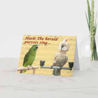 Hark the Parrots Holiday Card