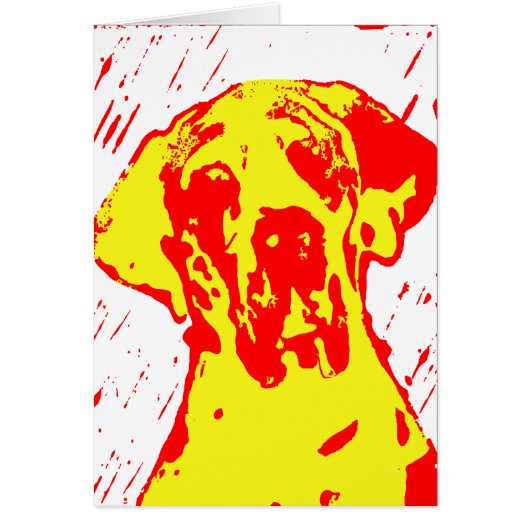 Harle Dane Red Yellow Cards (Front)